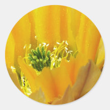 GREENRODS ROUND STICKER