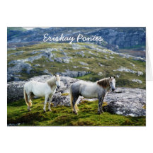 Greeting Card: Eriskay Ponies