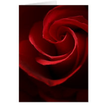 GREETING CARD    Red Rose