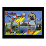 Greetings from Lake Tahoe Post Cards
