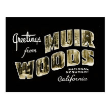 Greetings from Muir Woods National Monument Postcard