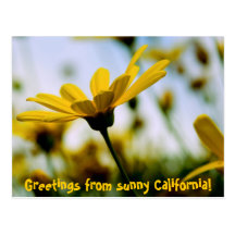 Greetings from sunny California! Post Cards