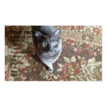 grey cat on oriental carpet business cards