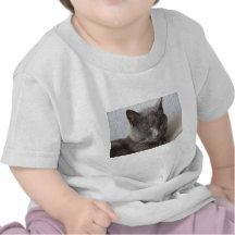 Grey cat tees