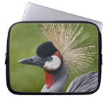 Grey Crowned Crane Laptop Sleeve