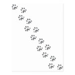 grey dog paws post card