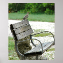 Grey Dove Bench Poster