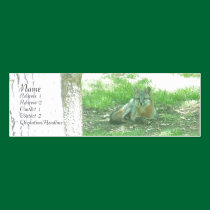 Grey Fox Profile Card business cards