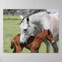 Grey Mare and Foal Poster