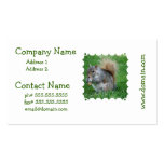 Grey Squirrel Business Cards business cards