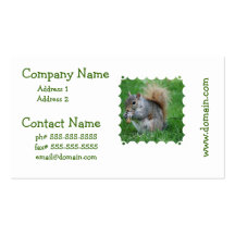 Grey Squirrel Business Cards