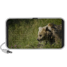 Grizzlies Speakers
