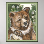 Grizzly Bear Cub Poster
