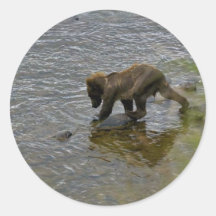 Grizzly bear cubs sticker