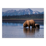 Grizzly Bear Notecard