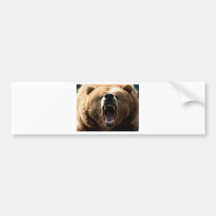 Grizzly Bumper Sticker