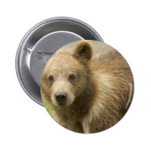 Grizzly Cub Button