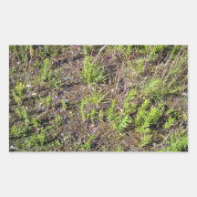 Ground Plants texture Rectangular Stickers