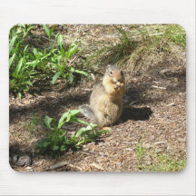 Ground squirrel photo Mousepad