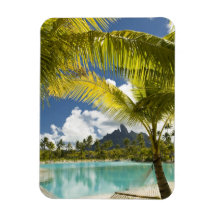 Grounds and scenics of the new luxury St. Regis Flexible Magnets