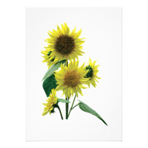 Group of Sunflowers Personalized Announcement