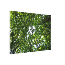 Grove of trees against the sky canvas print