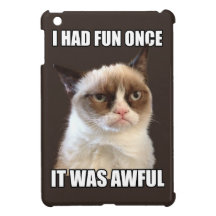 Grumpy Cat - I had fun once