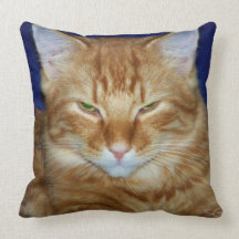 Grumpy Cat Throw Pillow