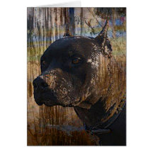 Grunge American Staffordshire Terrier Pitbull Card