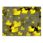 Grunge Ducks Postcards