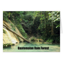 Guatemalan Rain Forest Card