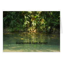 Guatemalan Rain Forest Greeting Card