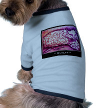 GUILTY CAT DOGGIE TEE SHIRT