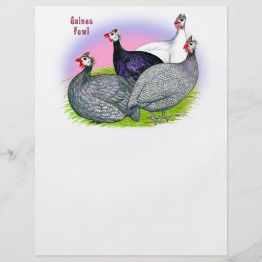 Guinea Fowl Quartet Flyers