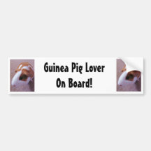 Guinea Pig Bumber Sticker Bumper Sticker