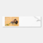 guinea pig bumper stickers