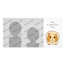Guinea Pig Cartoon. Photo Cards