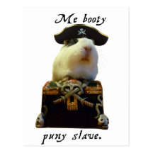 Guinea Pig Funny Pirate Postcard