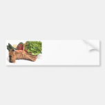 guinea pig in a basket bumper stickers