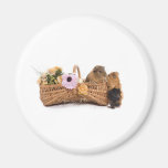 guinea pig in a basket fridge magnet