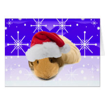 Guinea Pig In Santa Hat With Snowflakes Cards