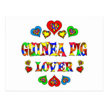 Guinea Pig Lover Post Cards