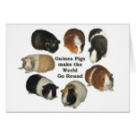 Guinea Pig Note Card