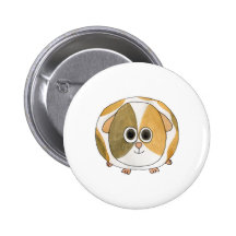 Guinea Pig. Pinback Buttons