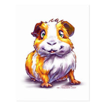 Guinea-pig Post Card
