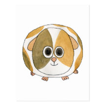 Guinea Pig. Post Cards