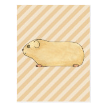 Guinea Pig. Postcards