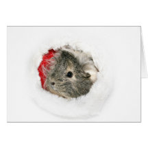 Guinea Pig Santa Card