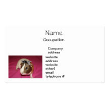 Guinea Pig With Bow 2 Business Card Template