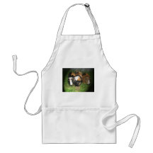 Guinea pigs (cavies) aprons